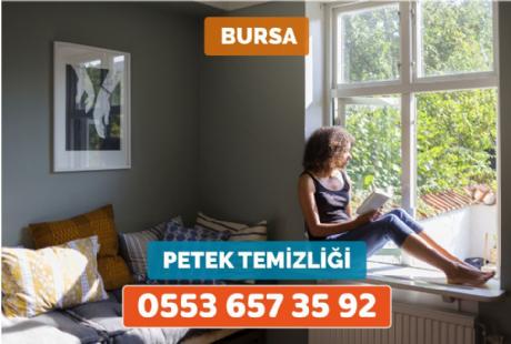 Petek Temizliği